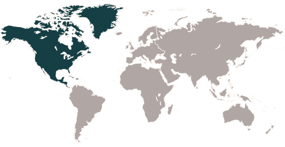 World Map